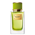 Velvet Mughetto by Dolce & Gabbana